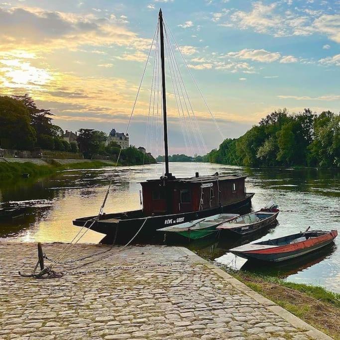 Le 20 La Loire Maison De Bord De Loire Chalonnes-sur-Loire エクステリア 写真